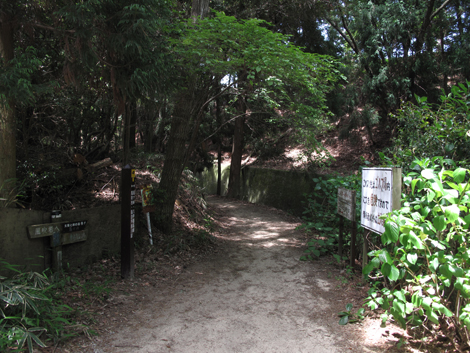 20140602hike (249)